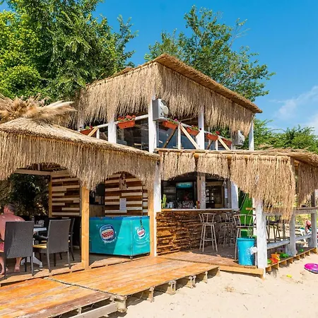 Iris スヴェティ・ヴラス