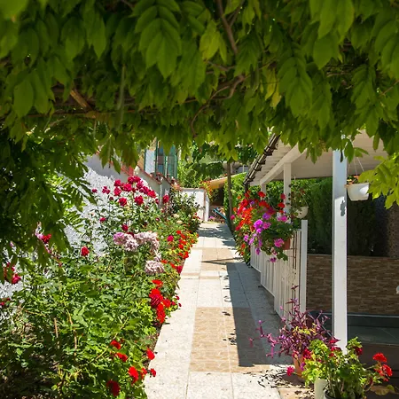 Hotel Iris 3*
